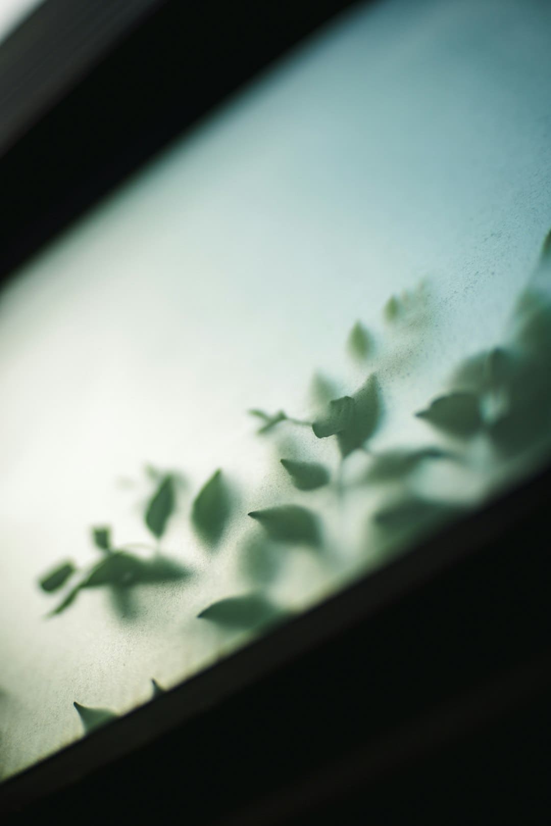 刘昊然周冬雨工作距离怎么？两年后看清娱乐圈实际